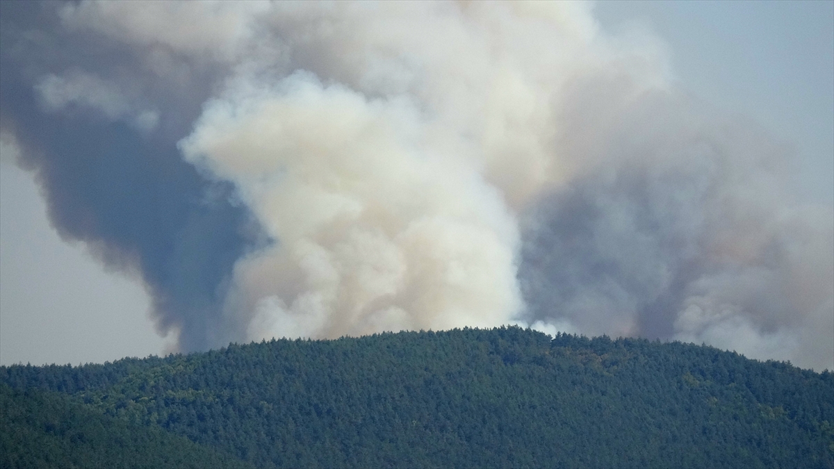 Karabük'te ormanlık alanda çıkan yangına müdahale ediliyor