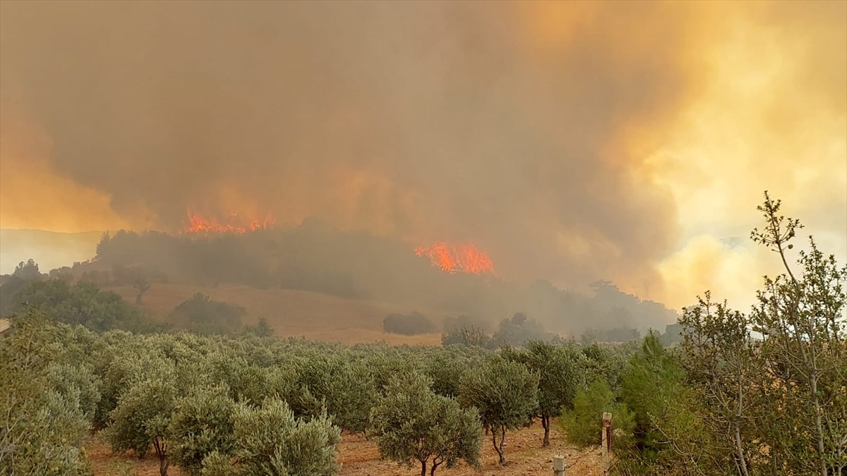 Denizli'de çıkan orman yangınına müdahale sürüyor