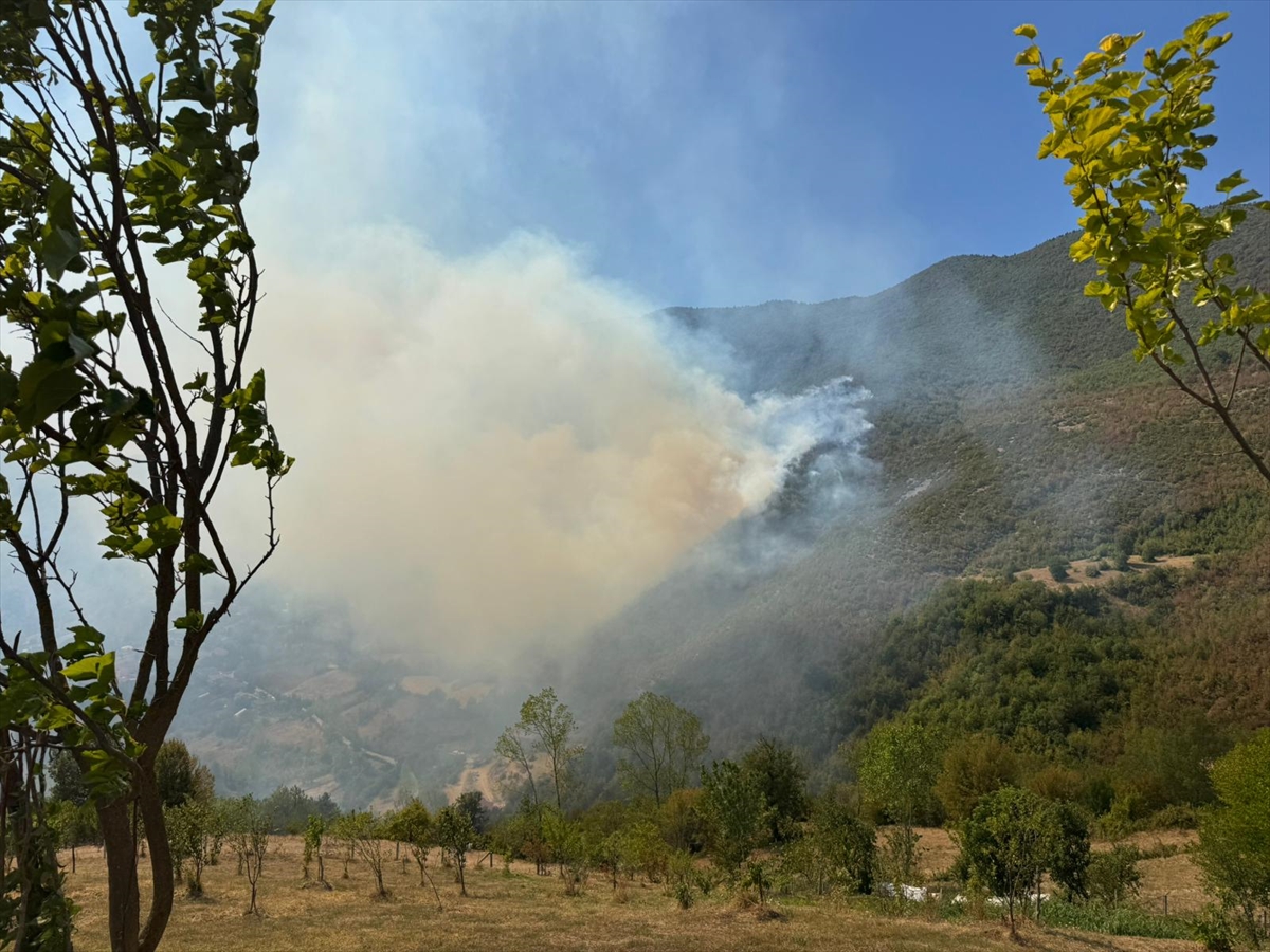 Bartın'da ormanlık alanda çıkan yangın kontrol altına alındı