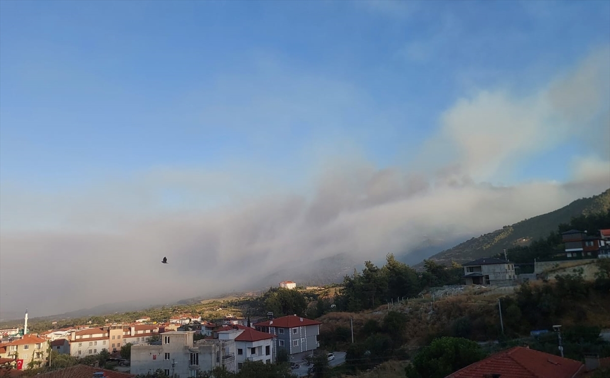 Denizli'nin Buldan ilçesindeki orman yangınına müdahale sürüyor