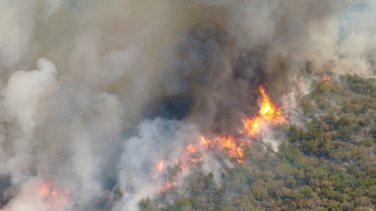 Karabük'te ormanlık alanda çıkan yangına müdahale sürüyor