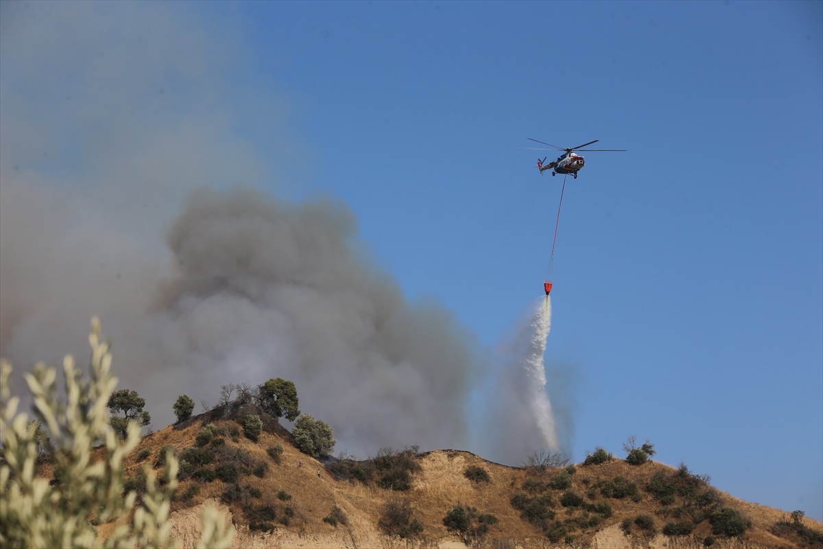 Aydın'da zeytinlik ve ormanlık alanda çıkan yangına müdahale ediliyor