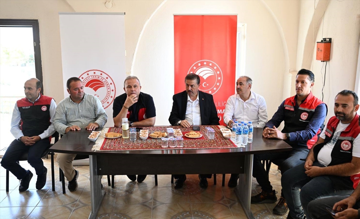 Sultan Sazlığı Kuş Cenneti'ndeki kuraklığın daha az su isteyen ürünlerin ekimiyle çözülmesi hedefleniyor