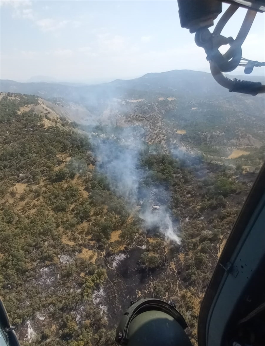 Şırnak'ta orman ve örtü yangınına müdahale ediliyor