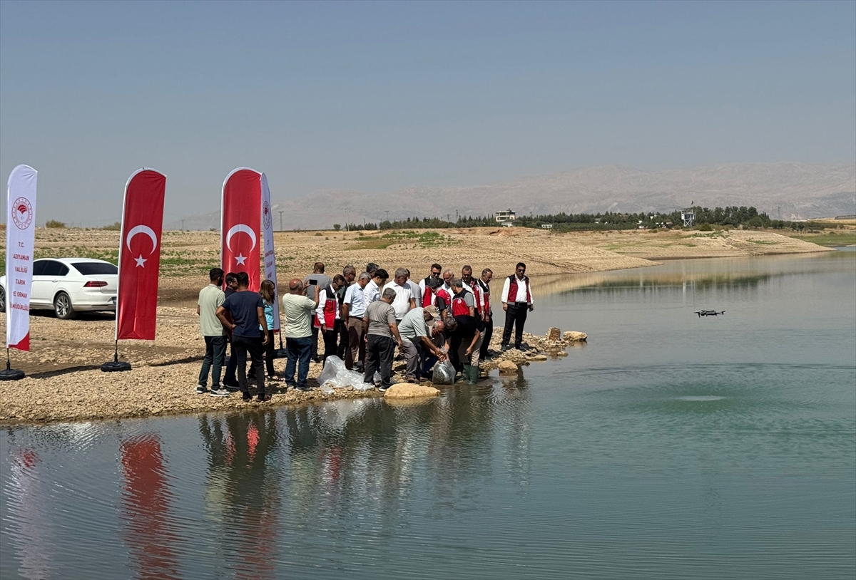 Atatürk Baraj Göleti'ne 1 milyon 75 bin balık yavrusu bırakıldı