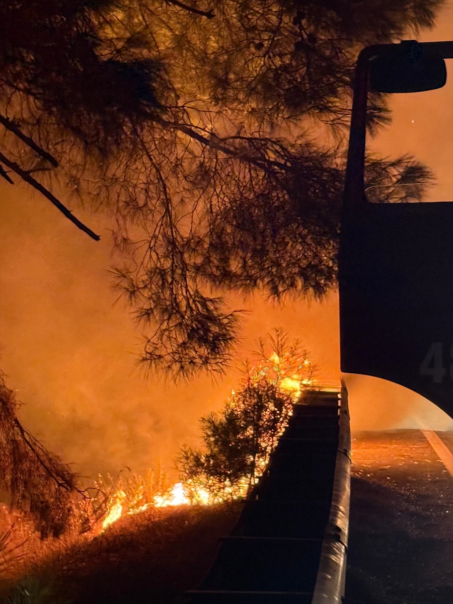 Muğla'da çıkan orman yangını kontrol altına alındı