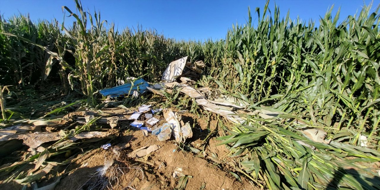 Torbalı'da eğitim uçağı tarlaya düştü, pilot hayatını kaybetti