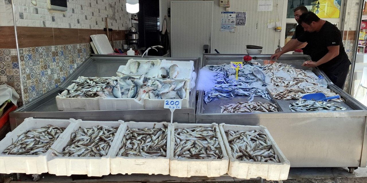 Sinop’ta balıkçılar av sezonuna boş ağlarla döndü