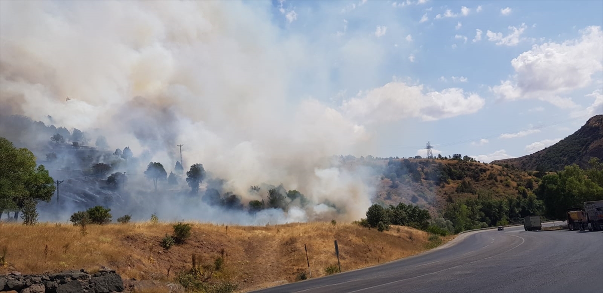 Sivas'ta ağaçlık alanda çıkan yangını söndürme çalışmaları sürüyor