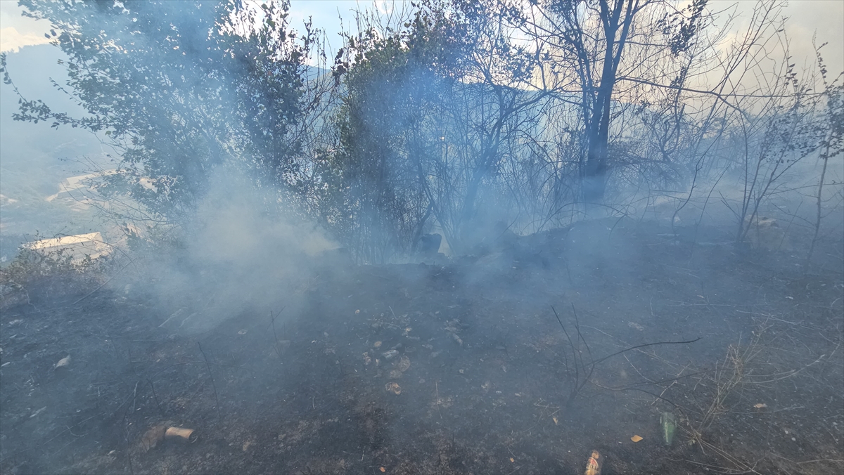 Zonguldak'ta çıkan örtü yangını kontrol altına alındı