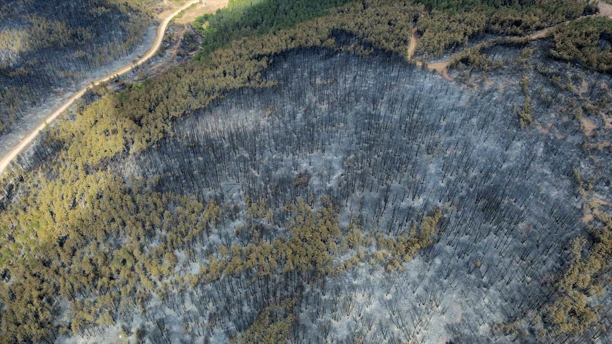 Karabük'te orman yangınlarında zarar gören alanlar havadan görüntülendi