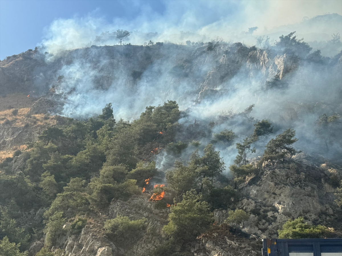 Aydın'ın Söke ilçesindeki orman yangınına müdahale ediliyor