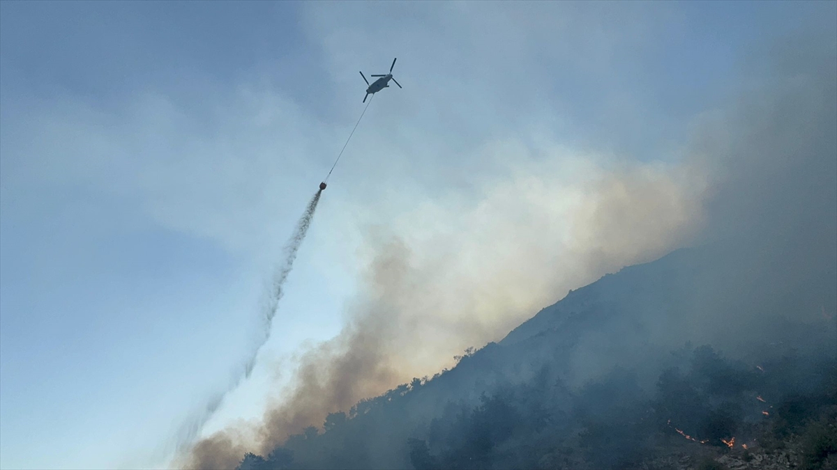 Aydın'ın Söke ilçesindeki orman yangını kontrol altına alındı