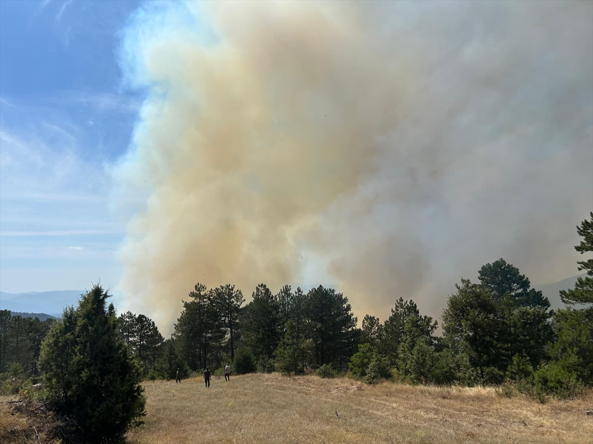 Bursa'da ormanlık alanda çıkan yangın kontrol altına alındı