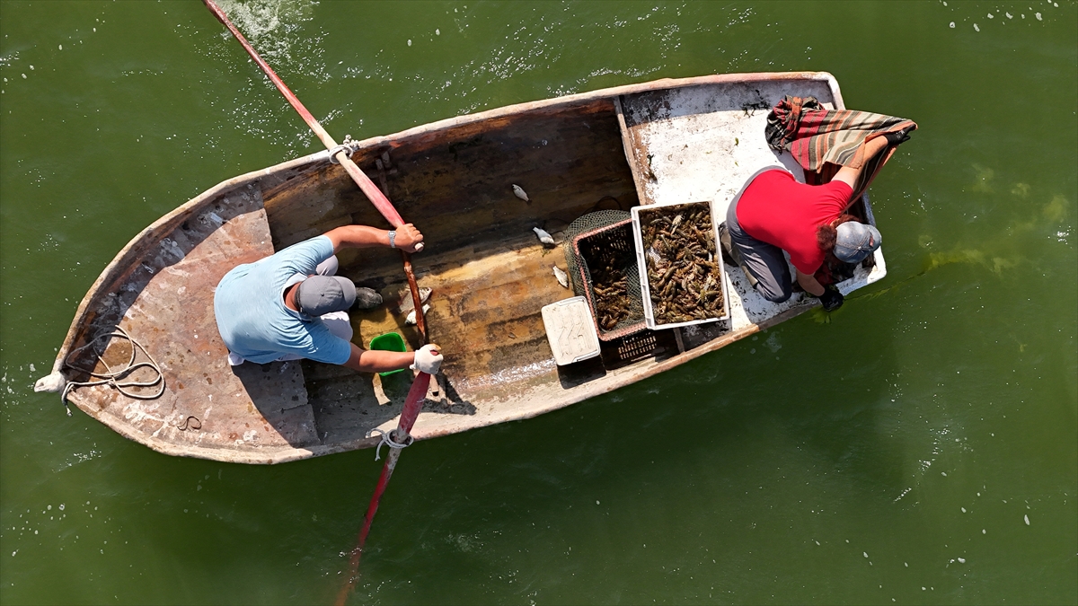 Kütahyalı çift, geçimini 20 yıldır balık ve kerevit avcılığıyla sağlıyor