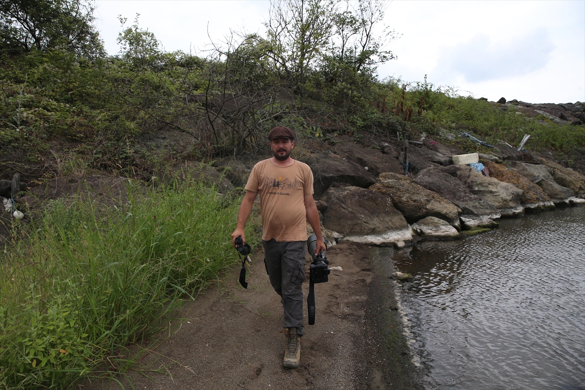 Yaban hayatı fotoğrafçısı Alper Tüydeş, Karadeniz'de 172 kuş türü fotoğrafladı