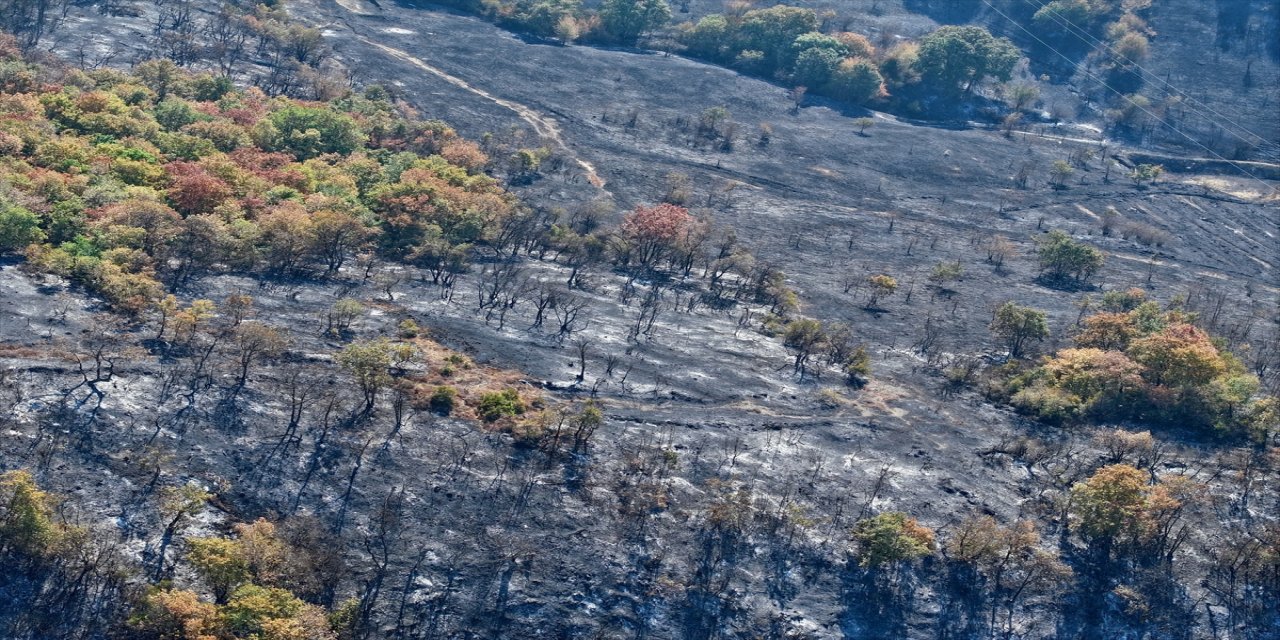 Düzce Yığılca’daki orman yangınında 30 hektarlık alan zarar gördü