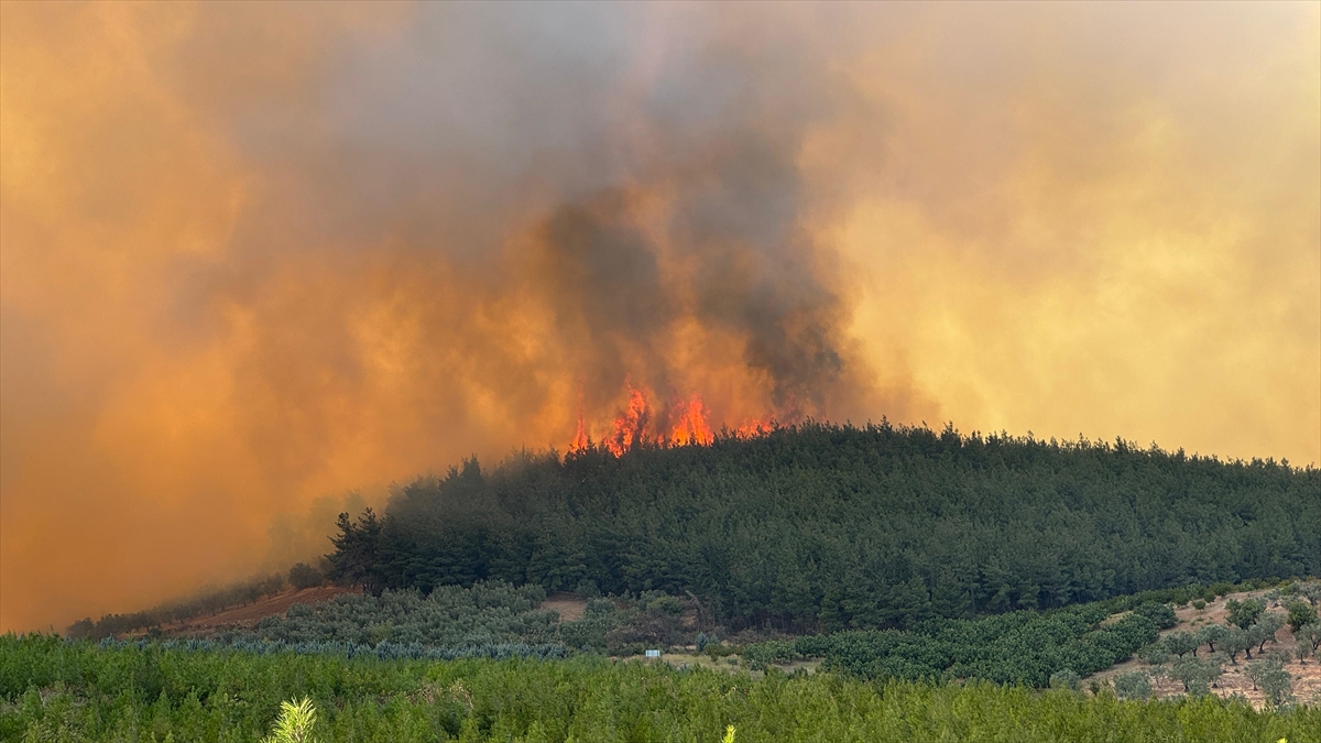 Bursa'da çıkan orman yangınına müdahale ediliyor