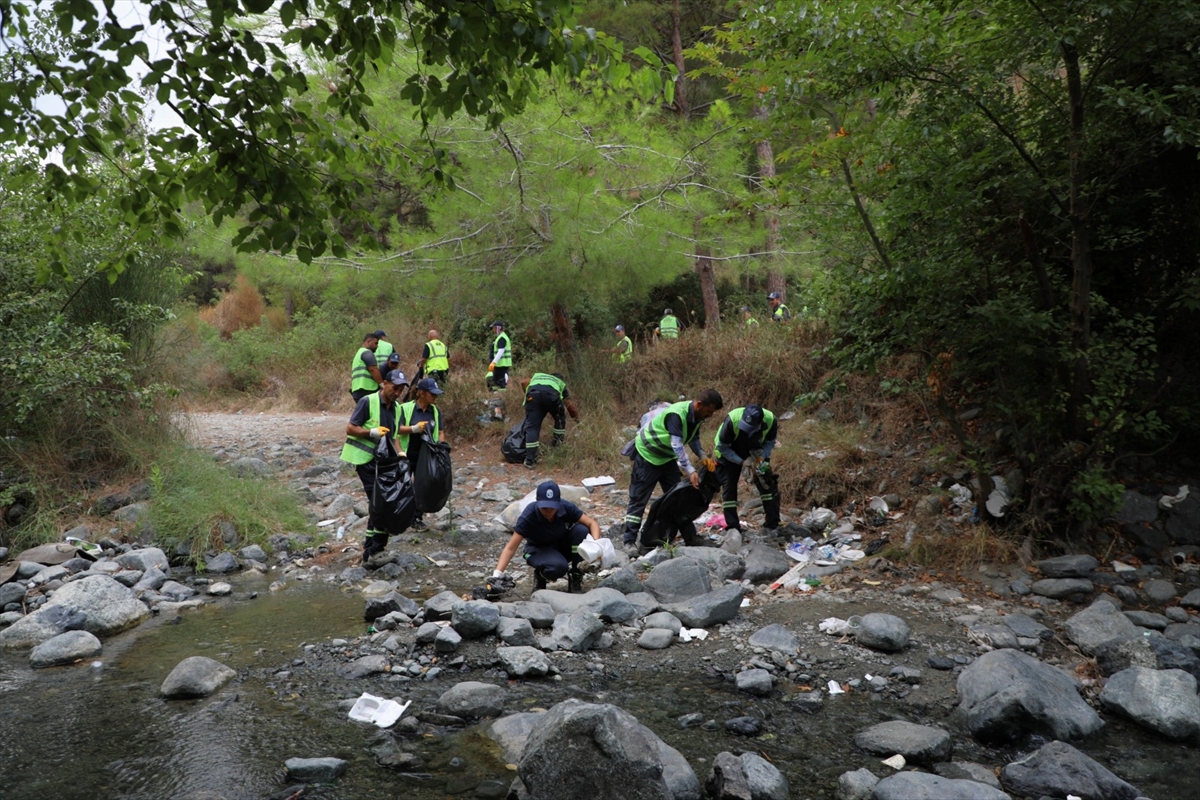 Hatay'da kum zambakları ve deniz kaplumbağalarının yuvalama alanında temizlik yapıldı