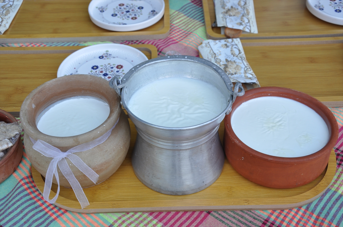 Silifke'de tescilli Silifke yoğurdunu yapma ve yeme yarışması düzenlendi