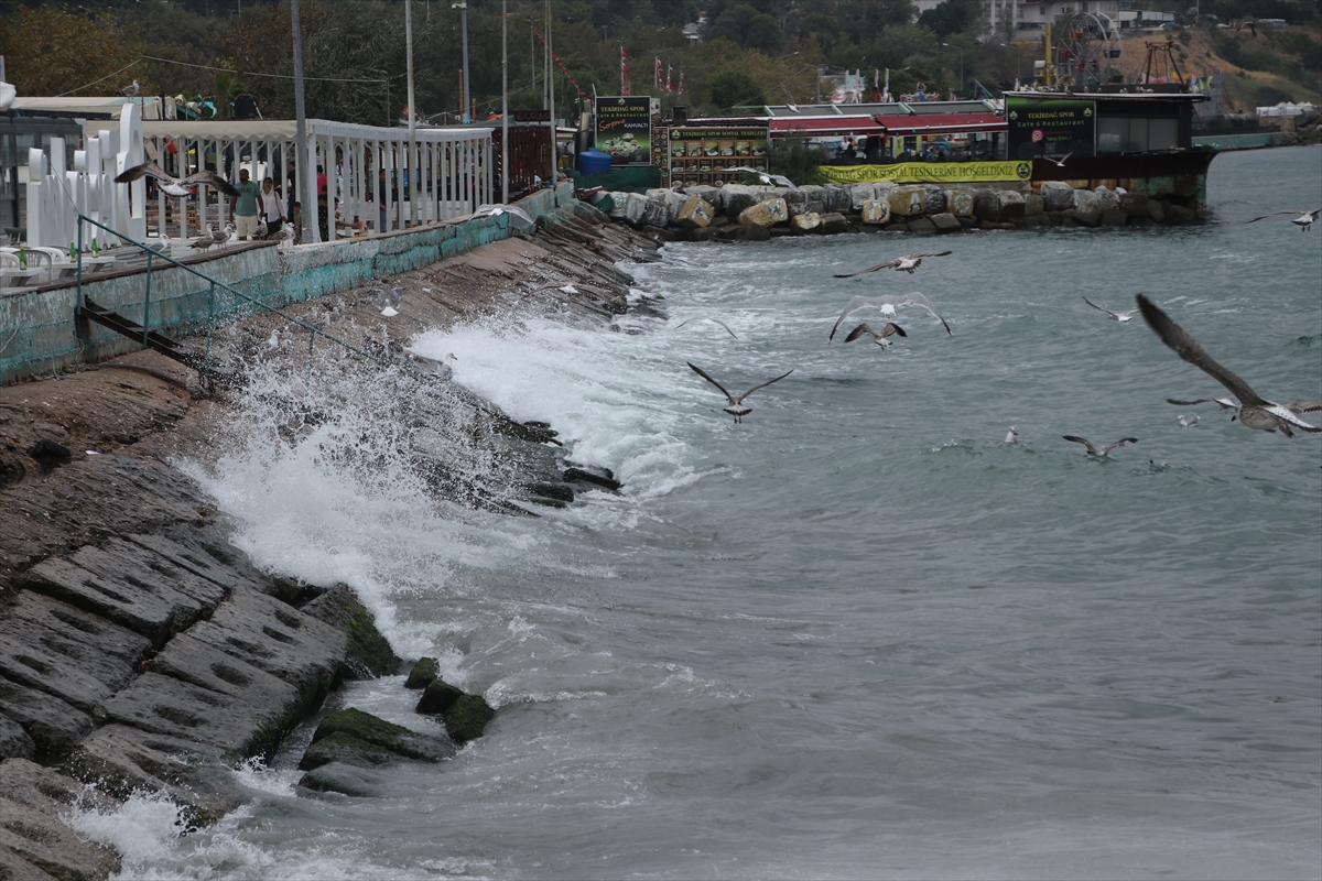 Tekirdağ'da poyraz deniz ulaşımını olumsuz etkiliyor