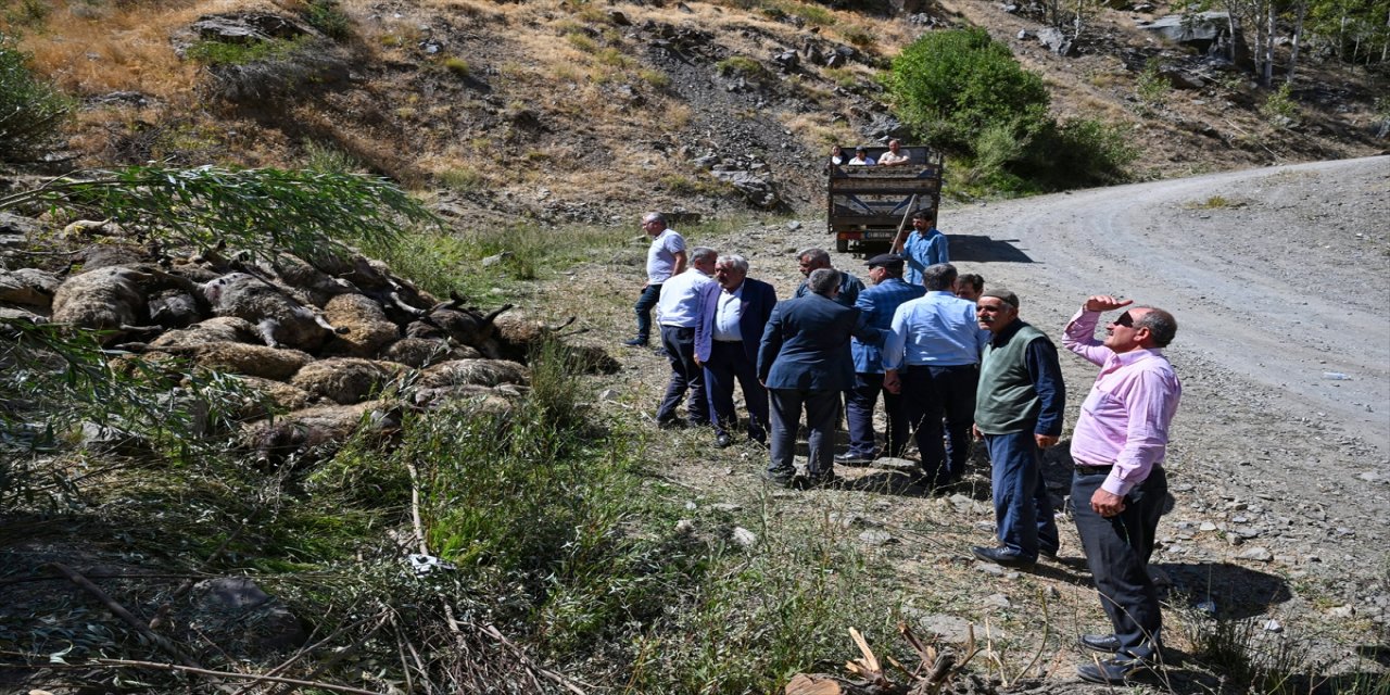 Van’ın Çatak ilçesinde kayalık alandan düşen 334 küçükbaş hayvan telef oldu, büyük kısmı kayboldu, arama çalışmaları sürüyor.
