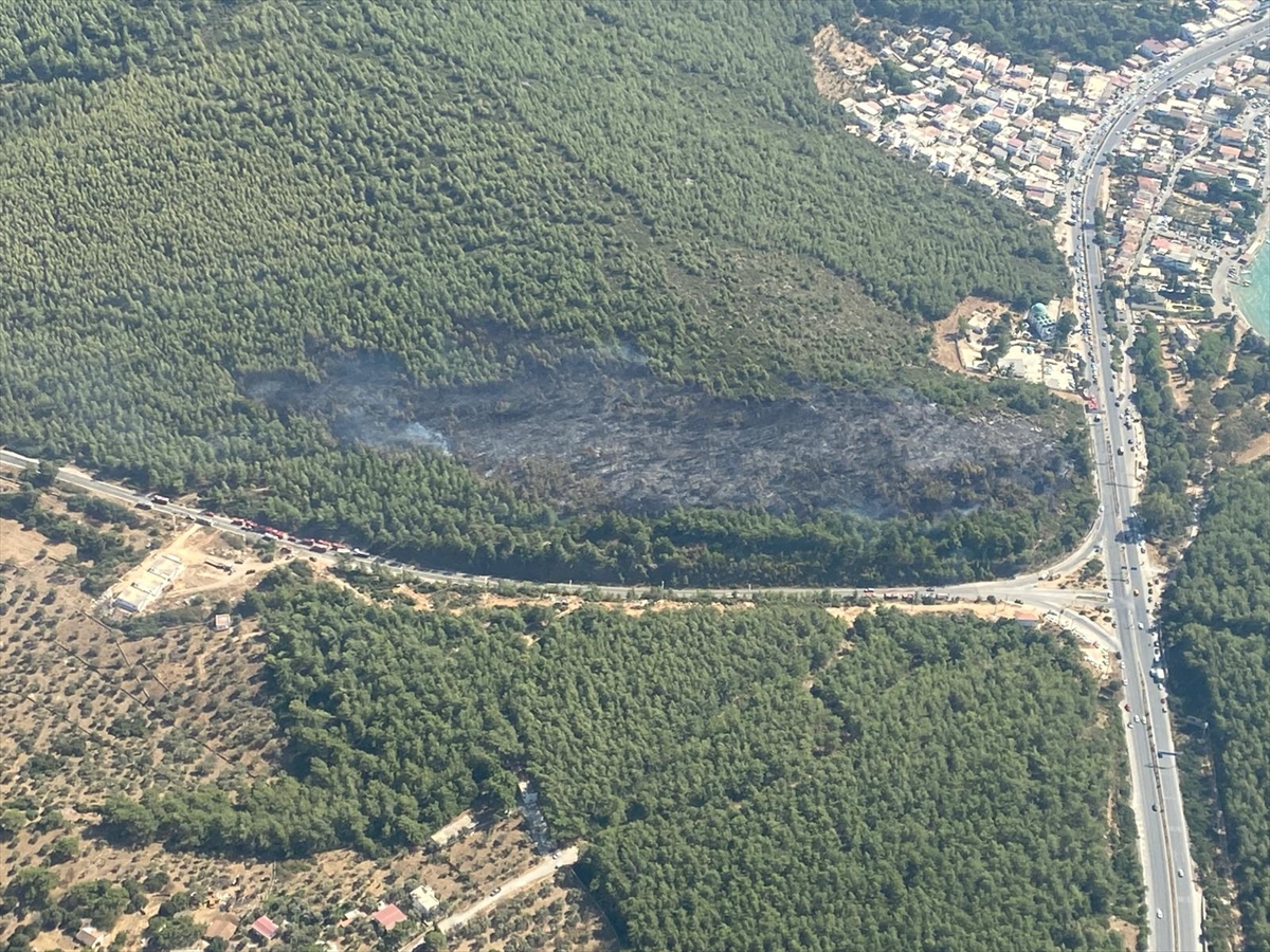 Bodrum'da çıkan orman yangını kontrol altına alındı