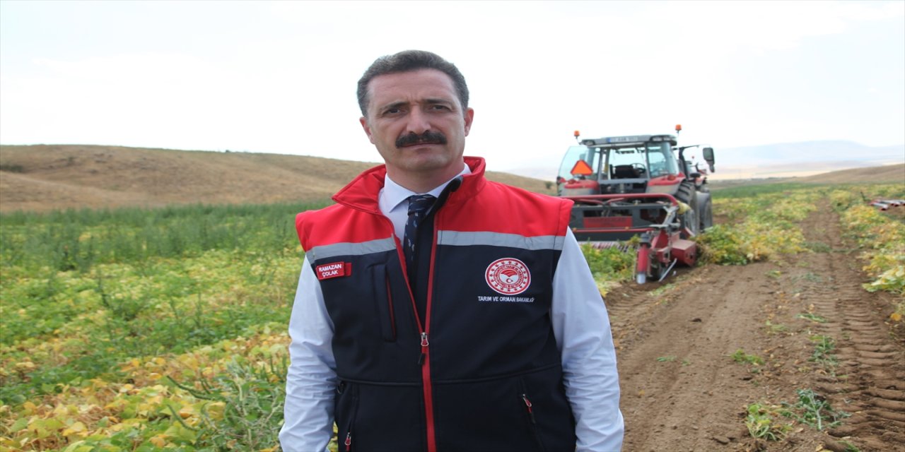 Bitlis’te kuru fasulye hasadı başladı, kent üretimde Türkiye’de dördüncülüğünü korumayı hedefliyor