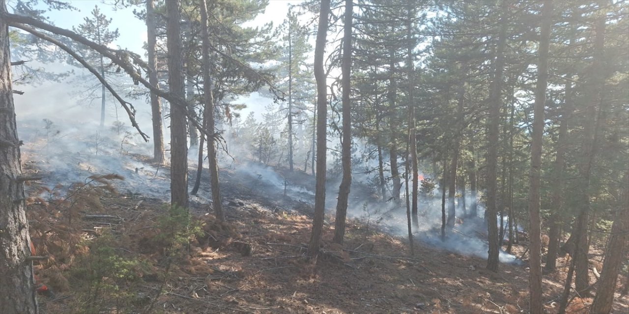Manisa Demirci’de orman yangını ekiplerin 2 saatlik havadan ve karadan müdahalesiyle kontrol altına alındı