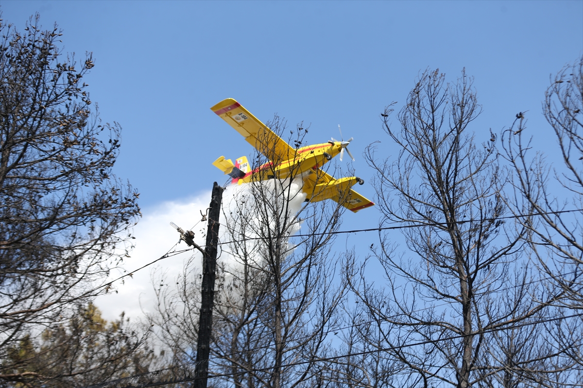 Çanakkale'de ormanlık alanda çıkan yangın kontrol altına alındı
