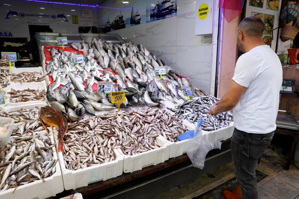 Samsun'da hamsi tezgahta 200-300 liradan satılıyor