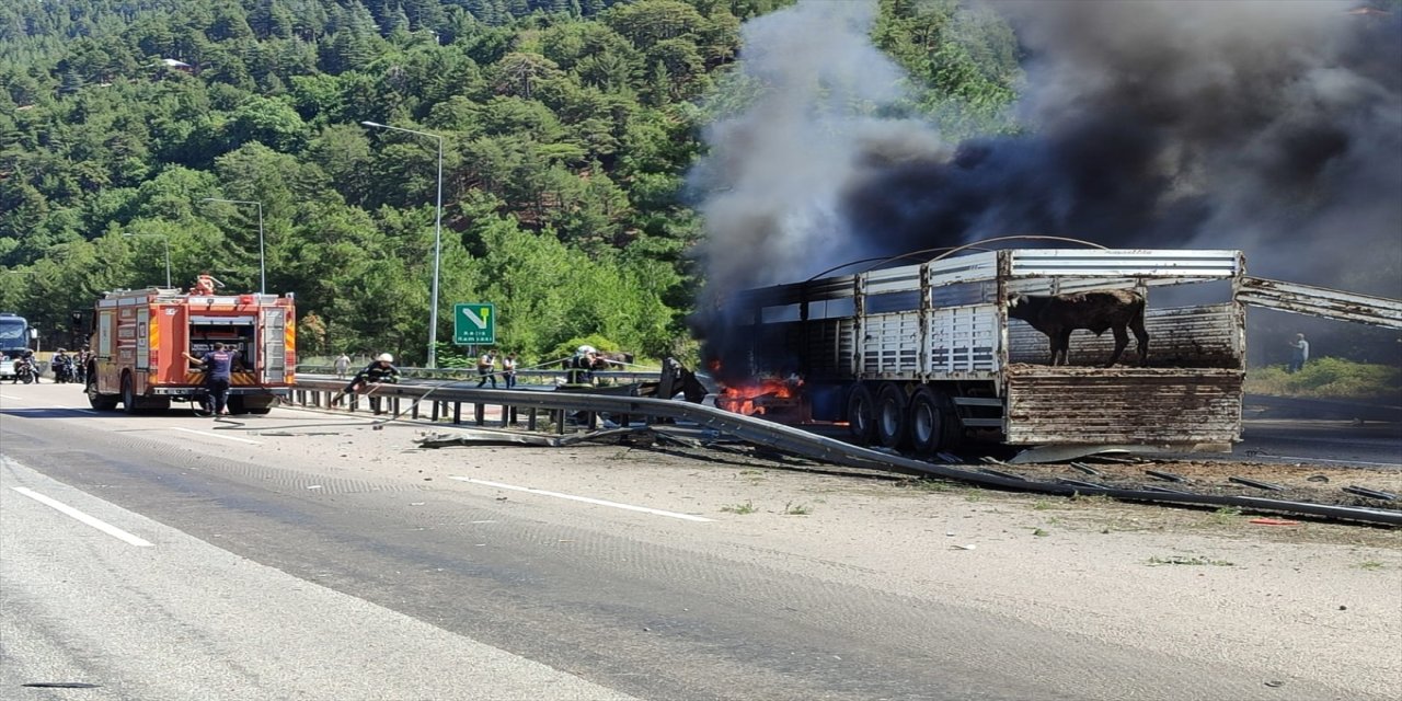 Adana’da büyükbaş hayvan yüklü tırda çıkan yangın itfaiye ekiplerince söndürüldü