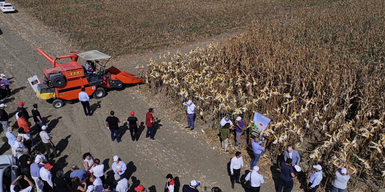 Adana’da geliştirilen “Kale” mısır çeşidi tarla günü etkinliğiyle üreticilere tanıtıldı, yerli tohum teşvik edilecek