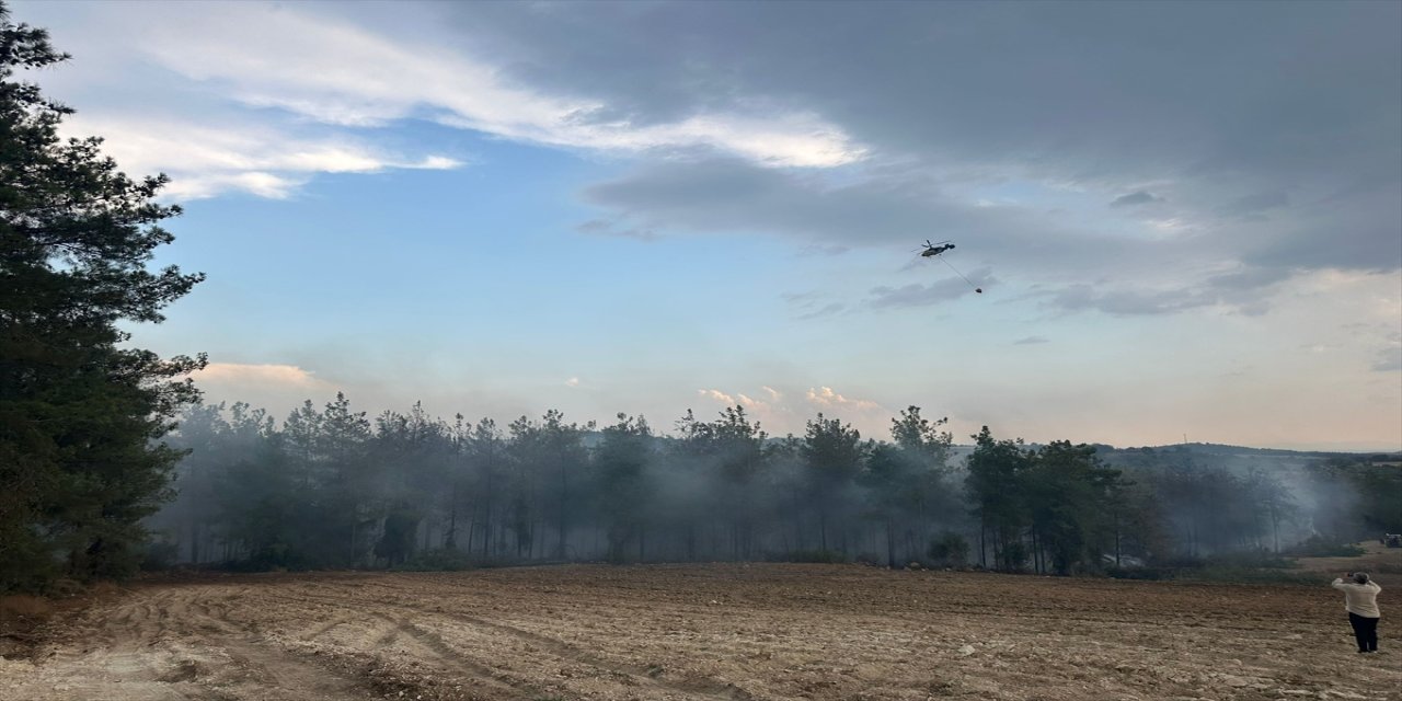 Osmaniye Sumbas’ta çıkan orman yangını havadan ve karadan müdahaleyle kontrol altına alındı, 5 dekarlık alan zarar gördü