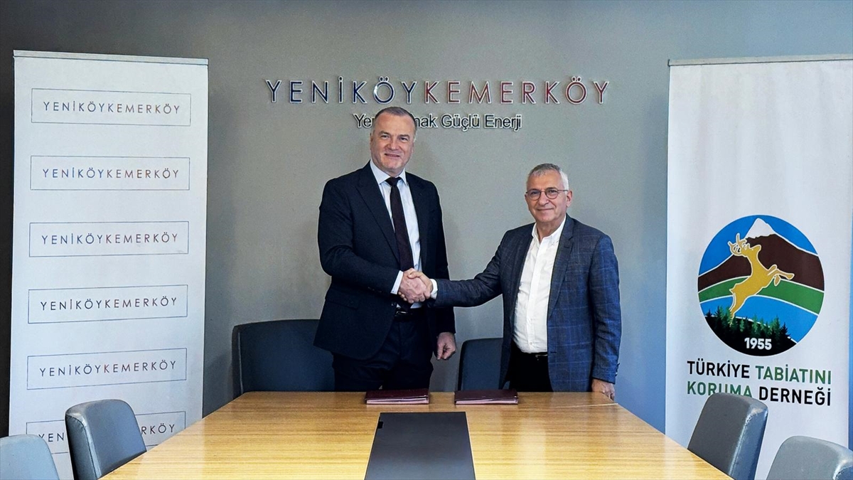 YK Enerji ile TTKD taşınan zeytin ağaçlarının takibi için protokol imzaladı