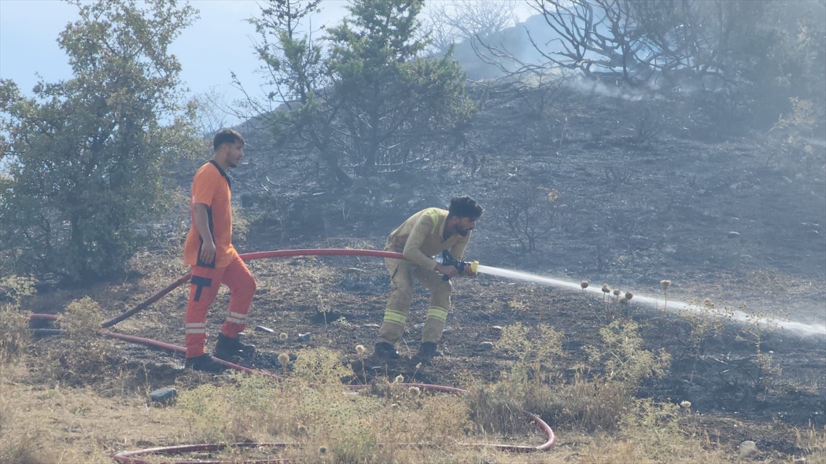 Bingöl'de çıkan örtü yangını söndürüldü