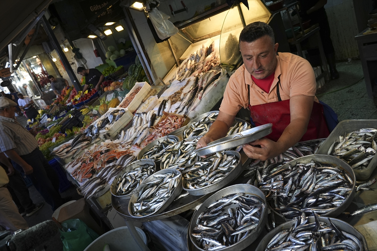 Ege'de balıkçılar sezona bereketli başladı