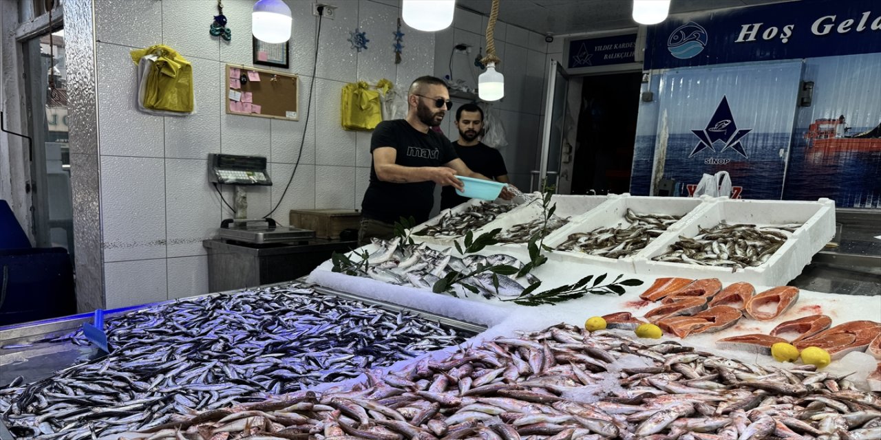 Karadeniz’de balıkçıların umudu hamsi: “Palamut az ama hamsi erken geldi”