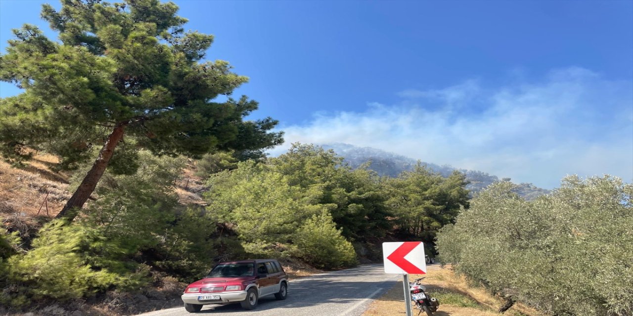 Aydın Efeler’de Zeytinlik Alanda Yangın Çıktı, Havadan ve Karadan Müdahale Sürüyor