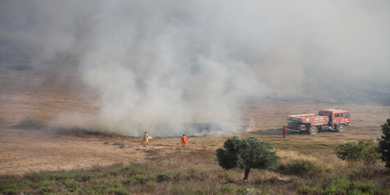 Antalya Serik’te anız yangını zeytin bahçesine sıçradı