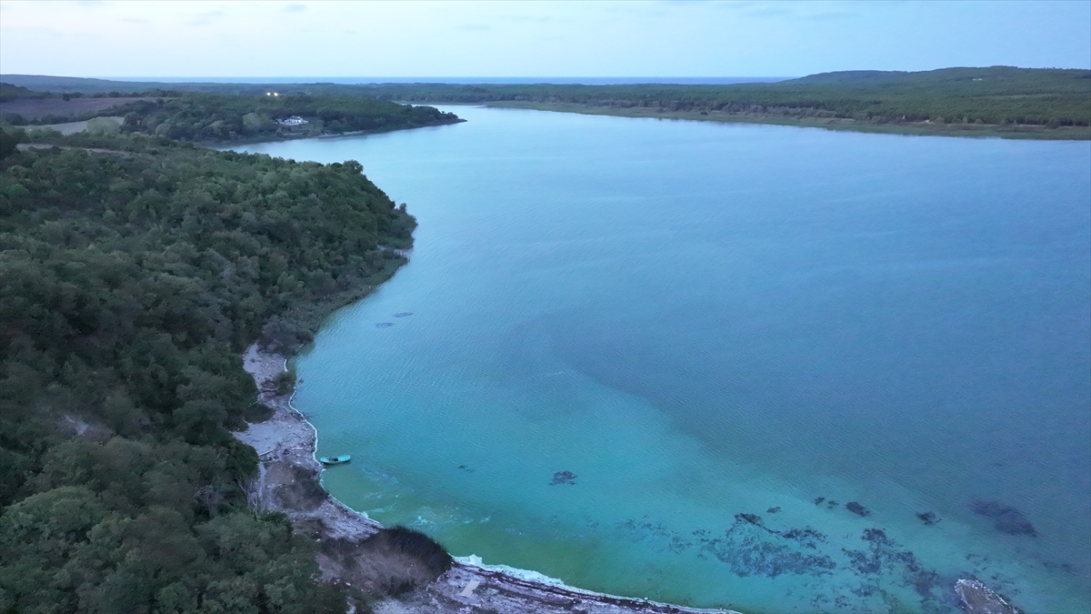 Terkos Barajı'nda suyun bazı bölümleri yeşile büründü