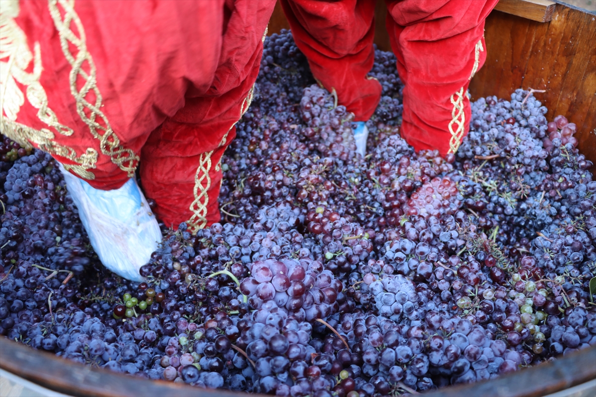 Kırklareli'nde Bağ Bozumu Şenlikleri başladı