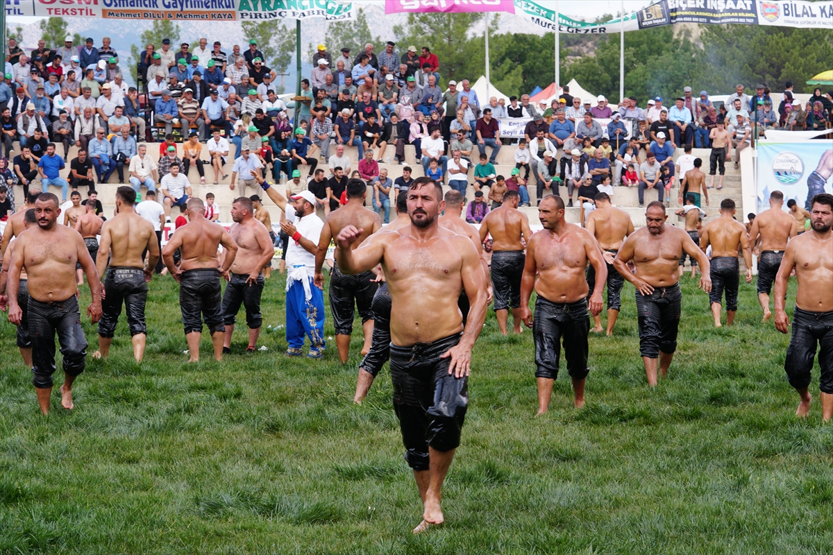 Çorum'da düzenlenen Yağlı Pehlivan Güreşleri'nde başpehlivanlığı Erkan Taş kazandı