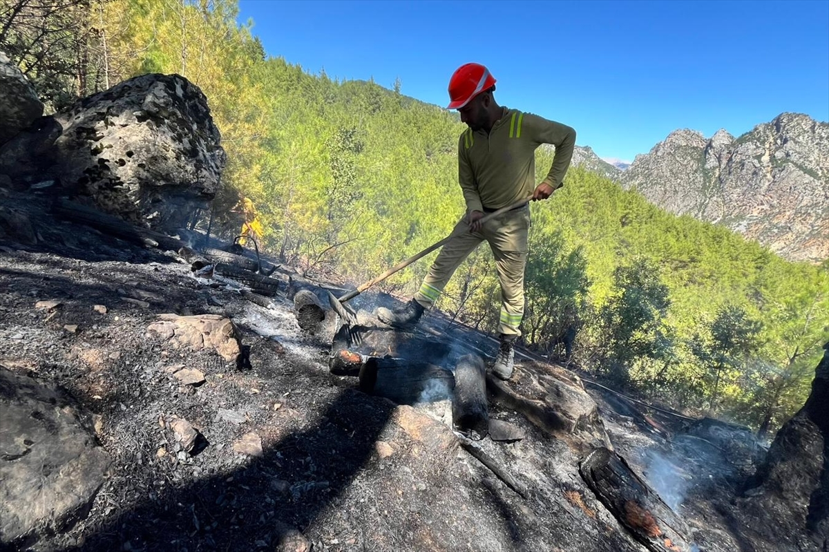 Adana'da çıkan orman yangını kontrol altına alındı