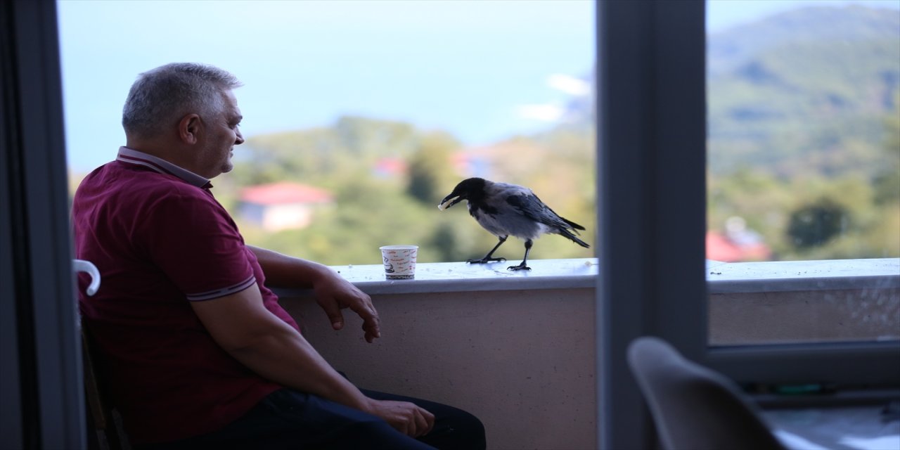 Ordu’da “Şakir” adlı kargayla dostluk kuran fındık üreticisi mahallede ilgi odağı oldu