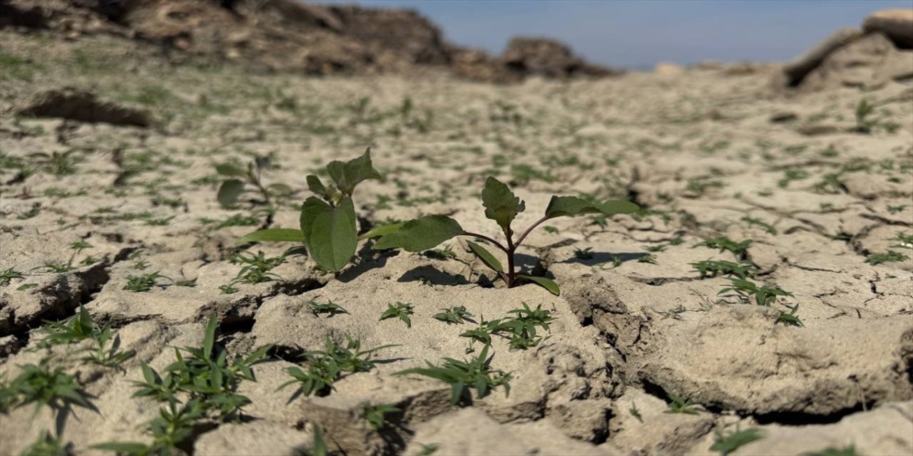 Çanakkale'de olağanüstü kuraklık: 9 baraj alarm veriyor, tarım ve ürün kalitesi etkileniyor