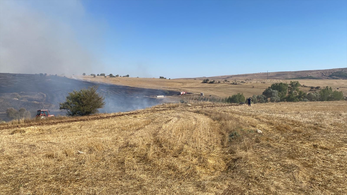 Çorum'da çıkan orman yangınına müdahale ediliyor