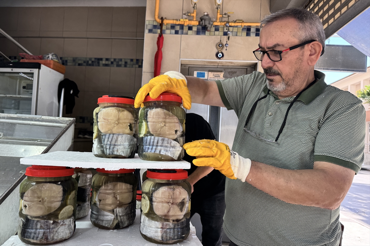 Sinop'ta coğrafi işaretli lakerdalar tezgahlardaki yerini aldı