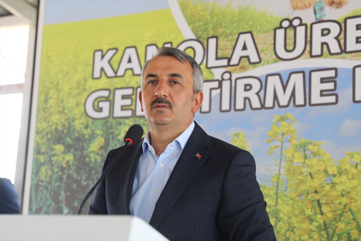 Edirne'de çiftçilere kanola tohumu dağıtıldı