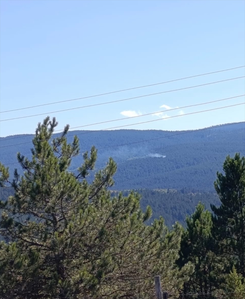 Kastamonu'da çıkan orman yangını söndürüldü